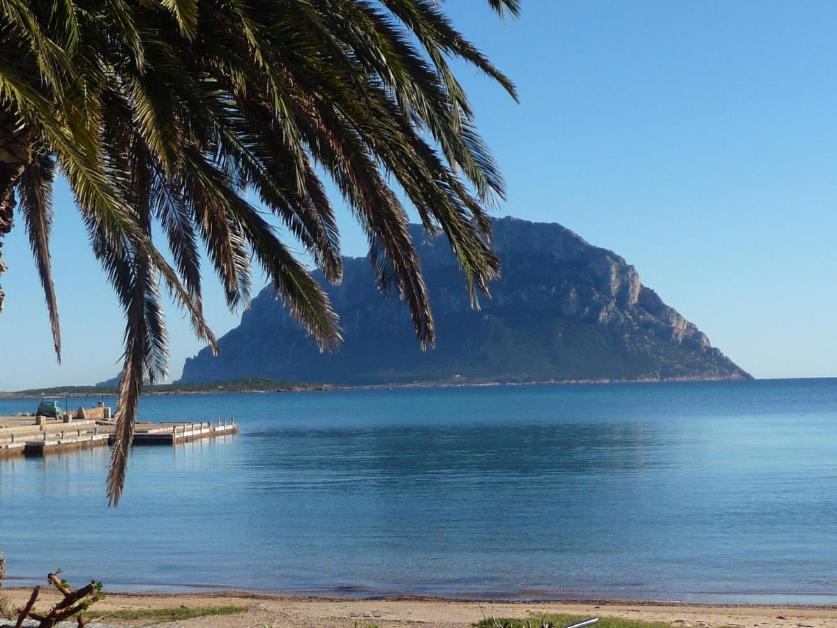 Frina Di Mari B&B San Teodoro  Buitenkant foto