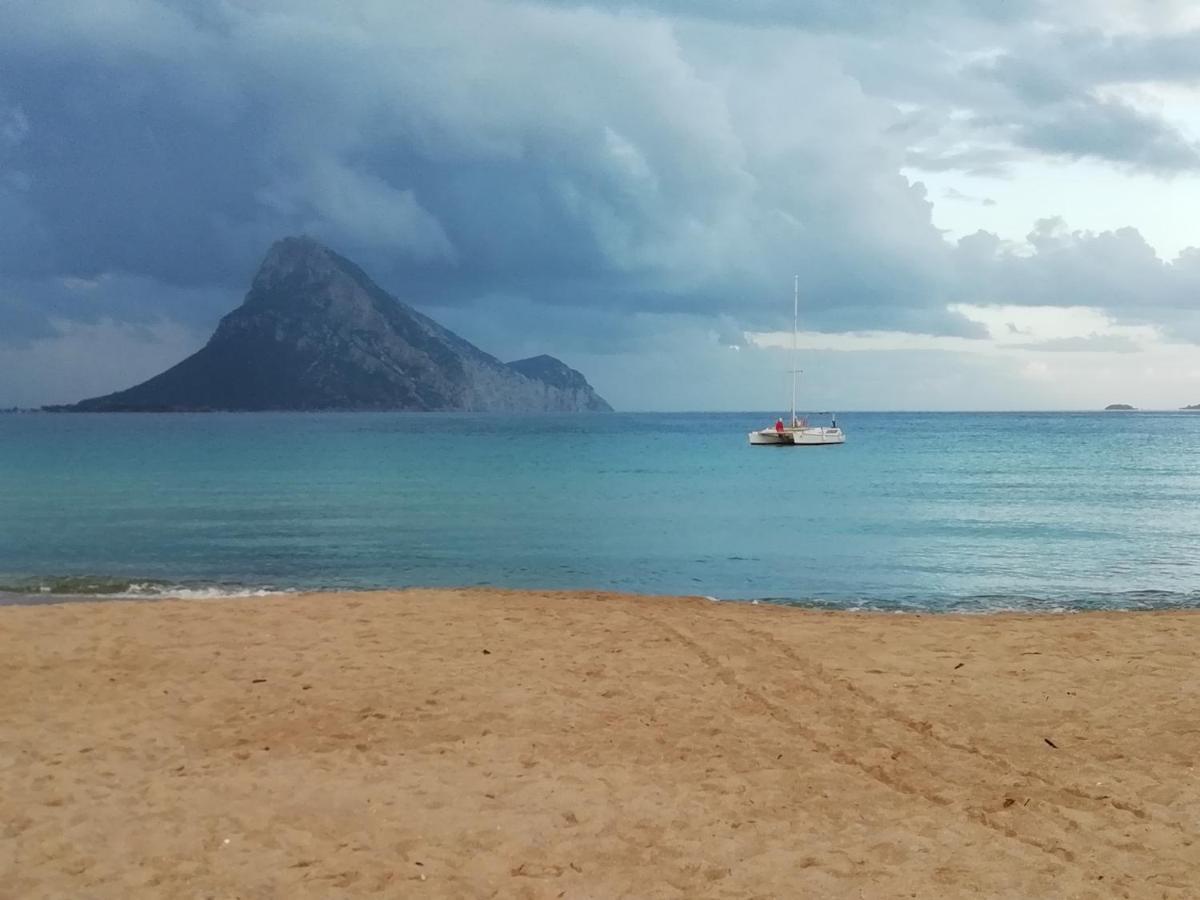Frina Di Mari B&B San Teodoro  Buitenkant foto