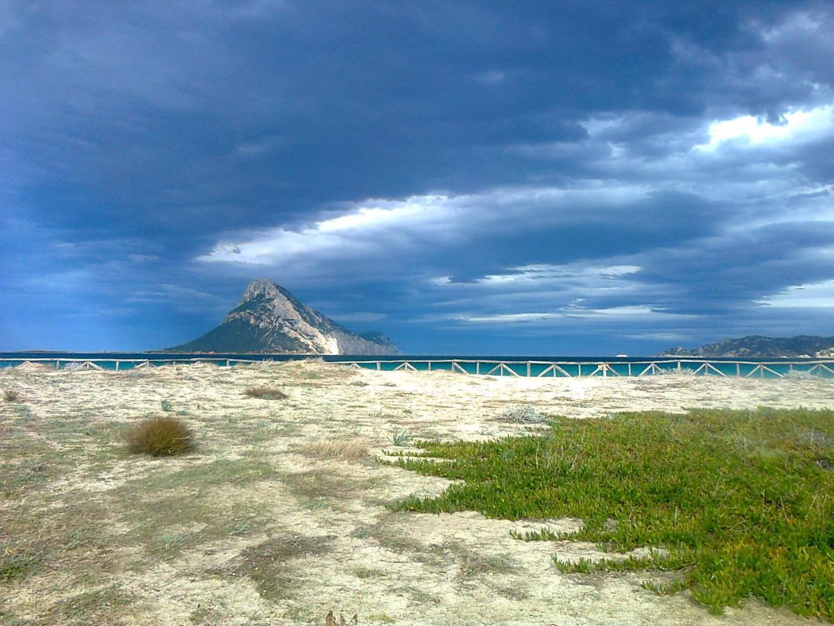 Frina Di Mari B&B San Teodoro  Buitenkant foto