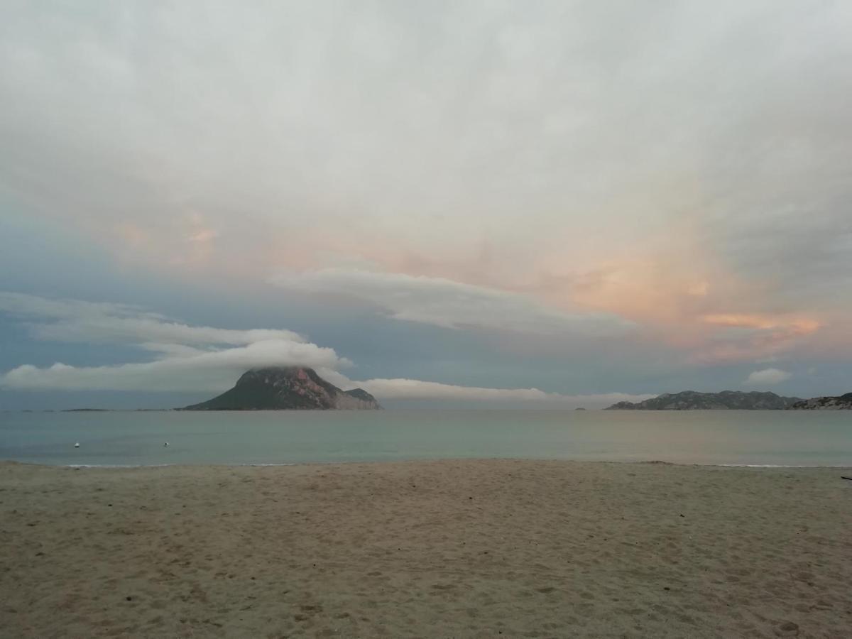 Frina Di Mari B&B San Teodoro  Buitenkant foto