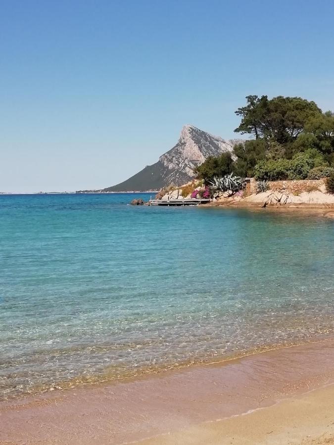 Frina Di Mari B&B San Teodoro  Buitenkant foto