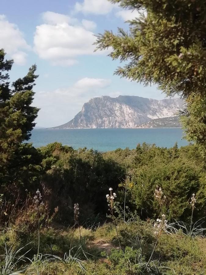 Frina Di Mari B&B San Teodoro  Buitenkant foto